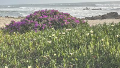 Tag 3 Jakobsweg am 10.04.2026