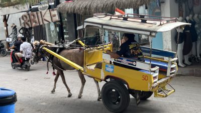 Tag 10 auf Gili Inseln Schnorcheln